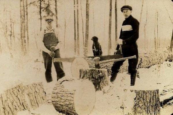 Two men sawing logs
